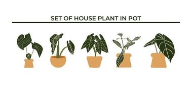 ensemble de plantes d'intérieur en pot vecteur