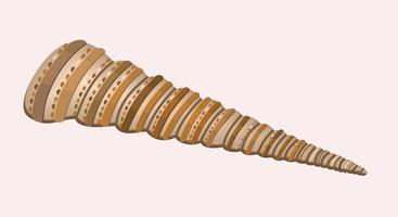 illustration vectorielle isolée d'un long coquillage de forme habituelle avec des taches décoratives. vecteur