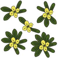 ensemble de bouquets de feuilles vertes avec une fleur jaune au centre, une simple fleur lumineuse de quatre pétales et des feuilles oblongues ovales vecteur