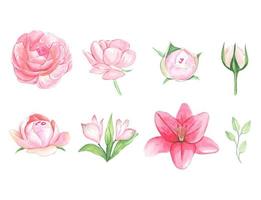 ensemble de fleurs roses aquarelles isolées vecteur