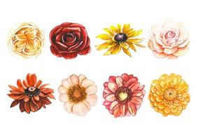 collection de boutons de fleurs d'automne, aquarelle