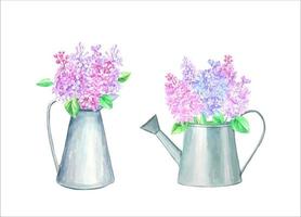 bouquets de lilas. illustrations à l'aquarelle vecteur