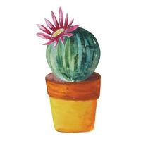 cactus rond avec fleur épanouie dans un pot vecteur