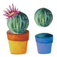 ensemble de cactus ronds avec une fleur épanouie dans un pot vecteur