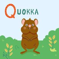 illustration vectorielle de dessin animé animal mignon quokka. animal quokka australien sur l'herbe verte vecteur