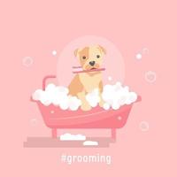 illustration vectorielle de toilettage pour animaux de compagnie avec un chien mignon vecteur