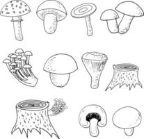 jeu de champignons forestiers croquis doodle dessiné à la main. icône, carte, affiche, monochrome. bolet, amanite tue-mouche, girolles, russule, agarics au miel de champignon souche nature ingrédient alimentaire vecteur