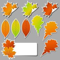 illustration vectorielle d'un ensemble coloré d'autocollants feuilles d'automne vecteur