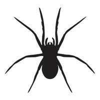 vecteur d'araignée isolé. illustration vectorielle