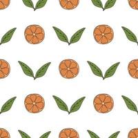 modèle sans couture avec des mandarines et ses feuilles sur fond blanc. image vectorielle. vecteur