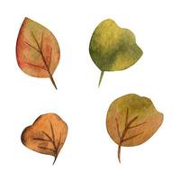 feuilles d'automne. illustration aquarelle vecteur