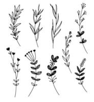 illustrations vectorielles - un ensemble de fleurs graphiques, plantes. 9 éléments de conception de style croquis dessinés à la main. parfait pour créer des imprimés, des motifs, des tatouages, etc. vecteur