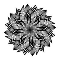 fleurs de mandala aster florales, dessinées à la main dans un style doodle isolé sur fond blanc. coloration amusante et mignonne pour le design saisonnier, le textile, la décoration de la salle de jeux pour enfants ou la carte de voeux. chrysanthème. vecteur