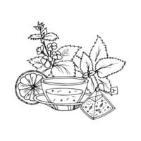 ensemble de vecteurs de tasse de thé à base de plantes. illustration de croquis dessinés à la main doodle vecteur