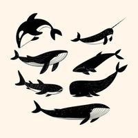 baleines minimalistes dessinées à la main vecteur