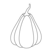 citrouille avec un contour noir. illustration vectorielle d'une citrouille dessinée à la main sur un fond blanc. un élément pour la conception décorative d'automne, une invitation pour halloween.pumpkin icône fond blanc vecteur