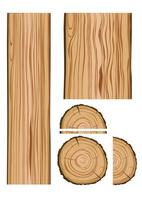 texture et parties du bois vecteur