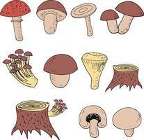 jeu de champignons forestiers croquis doodle dessiné à la main. icône, carte, poste vecteur