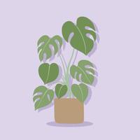 simplicité monstera plante dessin à main levée design plat. vecteur