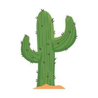 plante de cactus vert vecteur