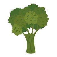 légume brocoli frais vecteur