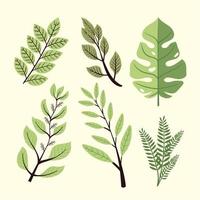 six branches avec des feuilles vecteur