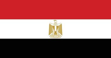 drapeau égyptien avec illustration originale de vecteur de couleur rvb