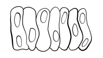 croquis artistique de doodle abstrait mignon isolé sur fond blanc. vecteur