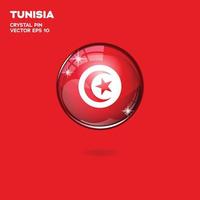 drapeau tunisien boutons 3d vecteur