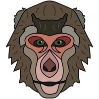 illustration de tête de macaque, logo de style plat. graphiques vectoriels d'image de dessin animé. vecteur