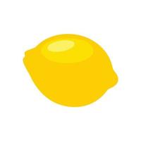 le jus de citron est d'une couleur jaune vif. des aliments sucrés et sains. agrumes à l'état naturel vecteur