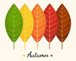 changement de couleur des feuilles d'automne vecteur