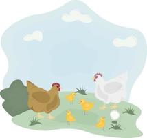 illustration de poules avec poussins dans le pré vecteur