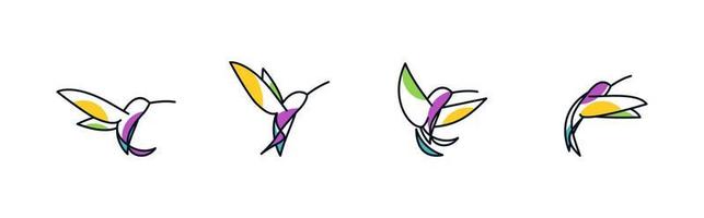 oiseau colibri 4 combinaisons avec couleur. résumé de la ligne vecteur
