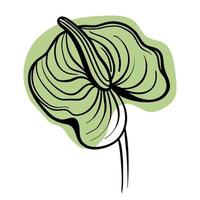 vecteur ligne noir illustration graphiques fleurs vert anthurium sur les taches de couleurs.