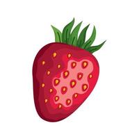 fraise fruits frais vecteur