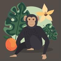 singe chimpanzé dans le cadre vecteur
