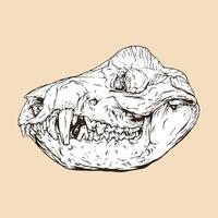 illustration vectorielle de tête de crâne d'opossum vecteur