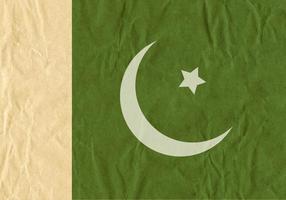 Drapeau de vecteur libre du Pakistan sur la texture du carton