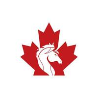 conception de vecteur de logo cheval canada. conception d'icône de vecteur de cheval de feuille d'érable.