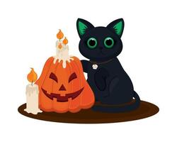 chat d'halloween et citrouille vecteur