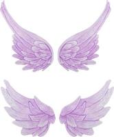 ensemble aquarelle de deux ailes d'ange délicates roses et violettes illustration d'ailes réalistes.