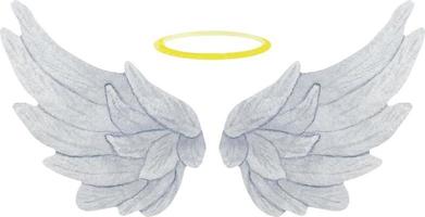 ailes d'ange délicates gris aquarelle avec halo d'or. illustration d'ailes réalistes. vecteur