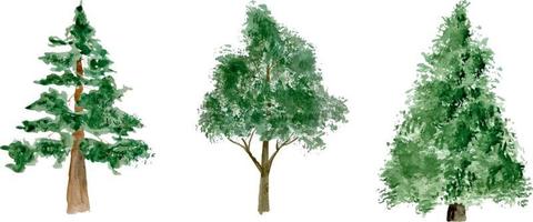 ensemble aquarelle d'arbres forestiers verts isolés sur blanc vecteur