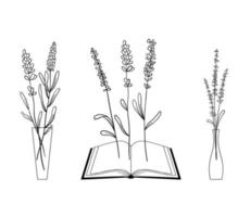ensemble de fleurs de lavande en style ligne dans des vases et un livre. collection de plantes sauvages et bouquet de branches de lavande. illustration vectorielle isolée sur blanc vecteur
