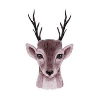 aquarelle de renne isolé sur fond blanc. illustration de portrait de cerf mignon de noël. vecteur de dessin animé de conception animale d'hiver