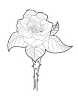 vecteur de fleurs roses dessinés à la main