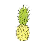 ananas dessiné à la main de vecteur