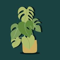 simplicité monstera plante dessin à main levée design plat. vecteur