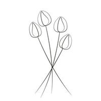 tulipe fleurs dessin au trait illustration vecteur